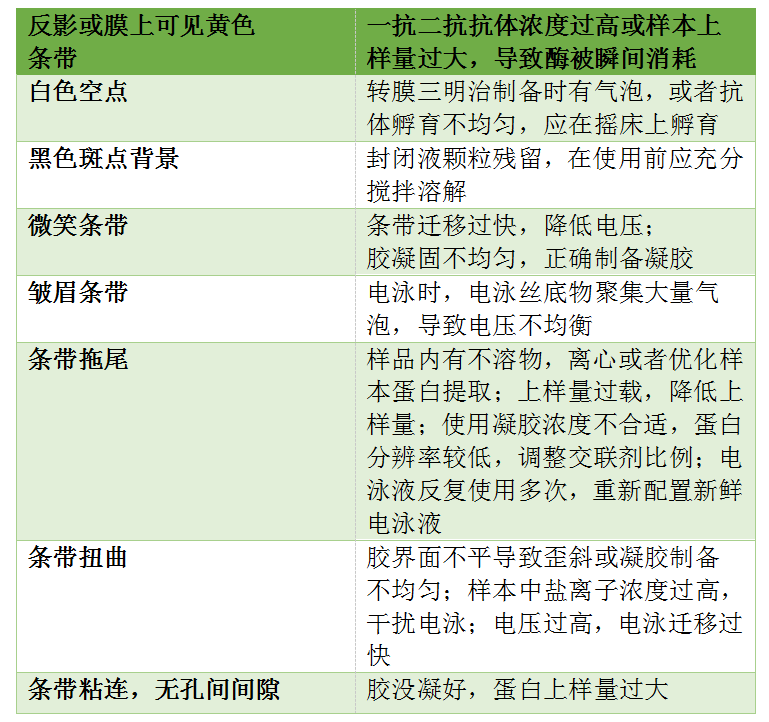 WB其它问题