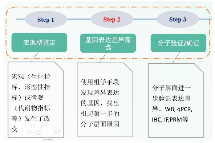 蛋白质组学