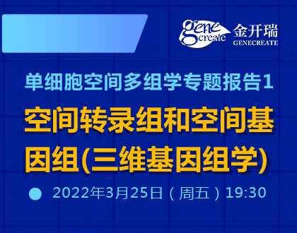 单细胞空间多组学专题报告1：空间转录组和空间基因组（三维基因组学）