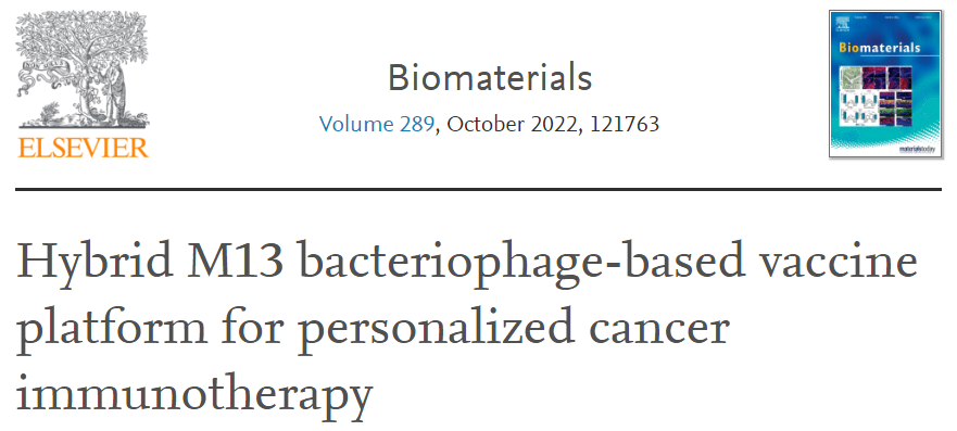 【客户文献分享】IF＞15，基于杂化M13噬菌体的疫苗平台用于个性化肿瘤免疫治疗